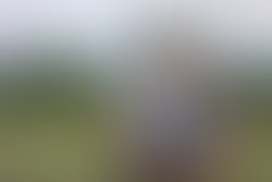 1340147899 dibs guns crossed edited