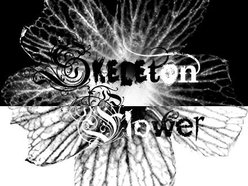 Image for Skeleton Flower