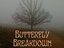 Butterfly Breakdown