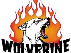 Wolverine Records