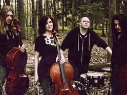 Image for Cello Fury