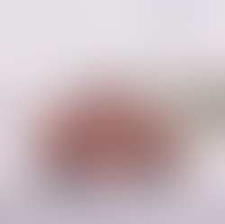 98607b17 b493 4945 8294 599cc34e2e41