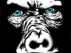 Image for Kongah