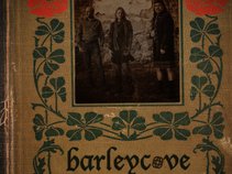 barleycove