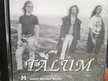 Talum