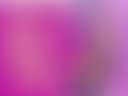 8 5x8 5 flyer 2 26 purple