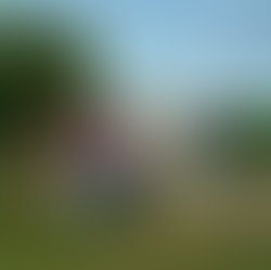 Beaulieu group photo