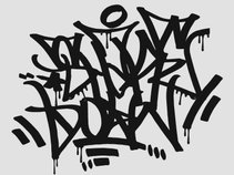 D.j. SHAKE DOWN