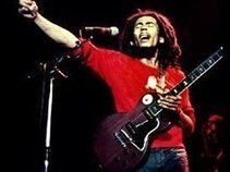 The Best of Bob Marley & the Wailers