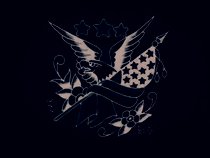 Ragged Old Flag