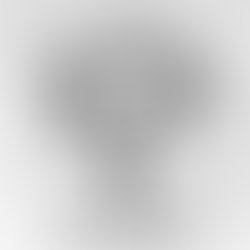 Absolva defiance 450px