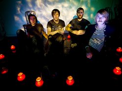 These Arms Are Snakes