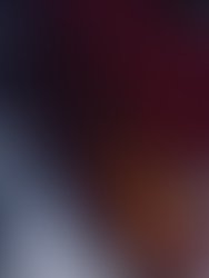 1988 washburn sunburst priceless