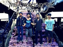 Metalmorevosiz