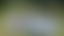 1342030389 roots photo