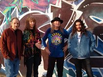 'Molly Nova & The Hawks'