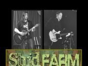 Bateman's Stud Farm