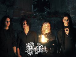 Image for Purple Nail