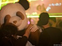The Panda Conspiracy
