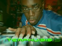 TEMPHUiBIS