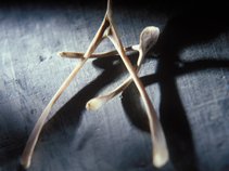 Wishbone