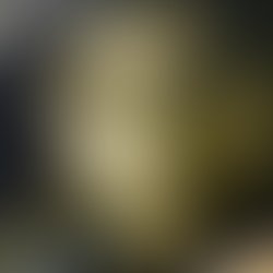 Artist 2726969 1523512278