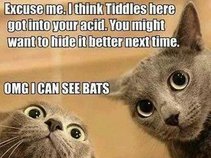 MK and the Acid Cats