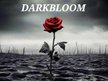 Darkbloom