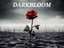 Darkbloom (Artist)
