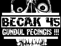BECAK 45