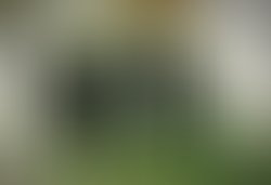 1410356873 654763351280949 924208990030473197 n