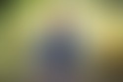 Seattle branding headshot photographer 46edit