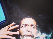 fly guy