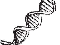 bad gene