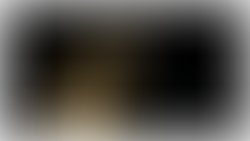 1391874116 stella peace frame fullsize