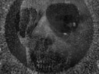 Tenebrio Archives