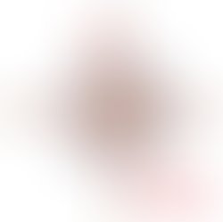 32 points compass rose