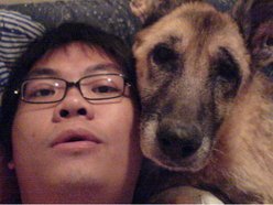 ReverbNation profile picture for @hong