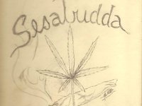 Weed Haven Records Inc.