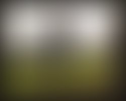 1450447876 image 48c278951527eb632d56371a5791140c