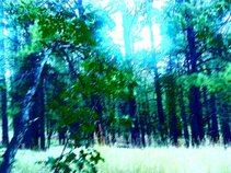 Motherless Nature