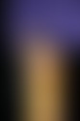 1360347805 david foster   danica