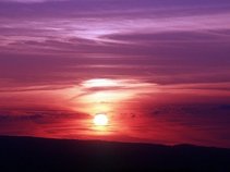 Purple Skies