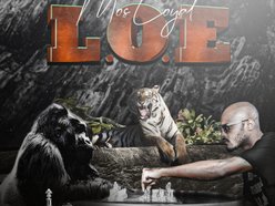 Mos Loyal