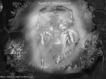 Squall"A" The LoneWolf