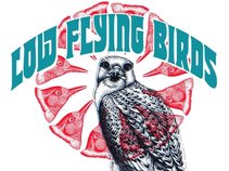 Low Flying Birds