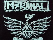 Marjinal