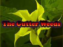 The Gutter Weeds