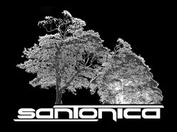Image for Santonica