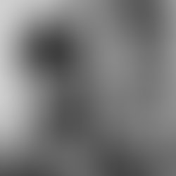 Untitled 1